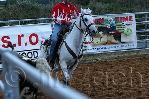 QH062_1617n.jpg