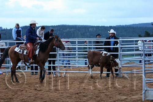 QH062_1621n.jpg