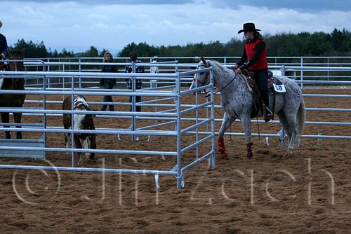QH062_1623n.jpg