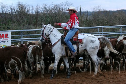 QH062_1624n.jpg