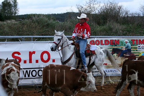 QH062_1625n.jpg