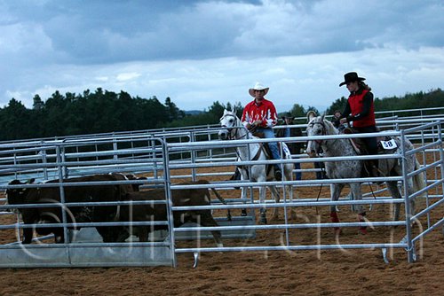 QH062_1627n.jpg