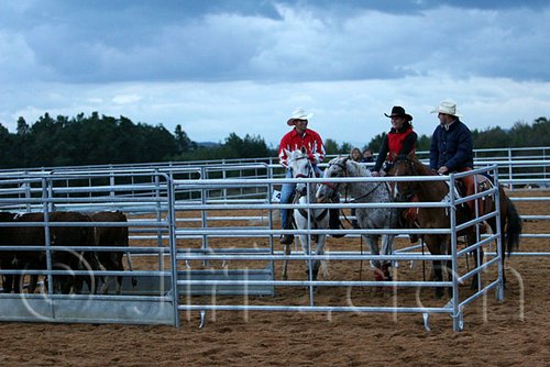 QH062_1628n.jpg