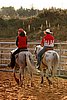 QH062_1352n.jpg
