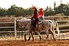 QH062_1353n.jpg