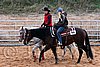 QH062_1581n.jpg