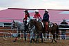 QH062_1583n.jpg