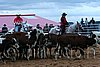 QH062_1586n.jpg