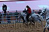 QH062_1602n.jpg