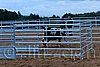 QH062_1613n.jpg