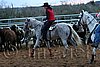 QH062_1614n.jpg