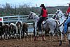 QH062_1615n.jpg