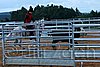 QH062_1619n.jpg
