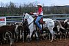 QH062_1624n.jpg