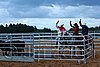 QH062_1629n.jpg