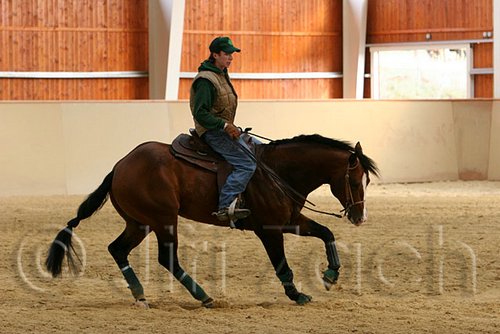 QH062_0006n.jpg
