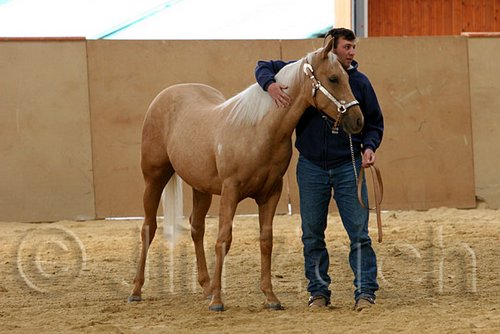 QH062_0011n.jpg