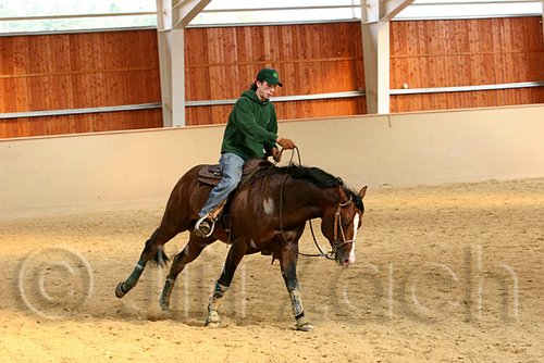 QH062_0016n.jpg