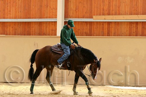 QH062_0022n.jpg