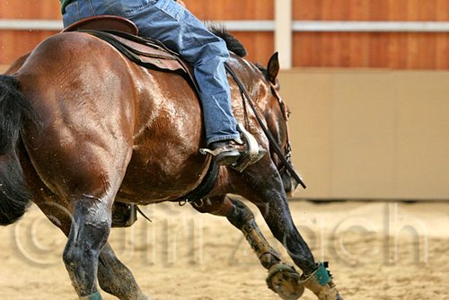 QH062_0030n.jpg