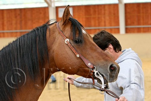 QH062_0031n.jpg
