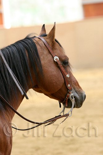QH062_0033n.jpg