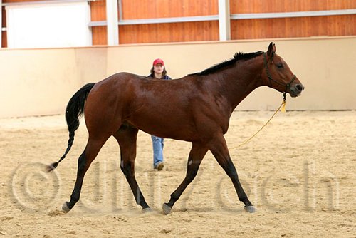 QH062_0062n.jpg