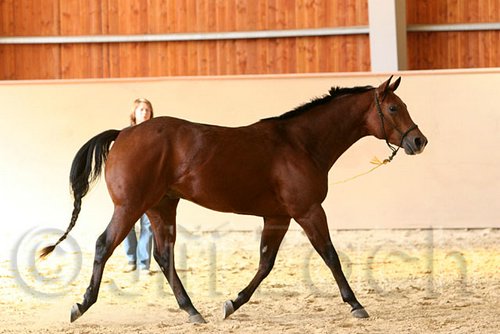 QH062_0104n.jpg