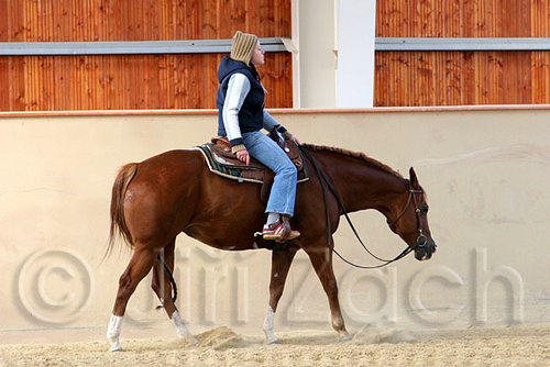 QH062_0105n.jpg