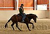 QH062_0006n.jpg