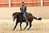 QH062_0009n.jpg