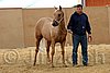QH062_0012n.jpg