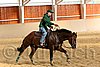 QH062_0018n.jpg