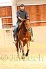 QH062_0021n.jpg