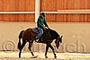 QH062_0022n.jpg