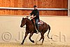 QH062_0023n.jpg