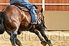 QH062_0030n.jpg