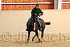 QH062_0032n.jpg