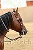 QH062_0033n.jpg