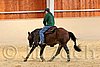 QH062_0034n.jpg