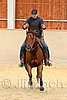 QH062_0042n.jpg