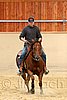 QH062_0050n.jpg