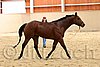 QH062_0062n.jpg