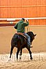 QH062_0078n.jpg