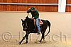 QH062_0082n.jpg