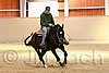 QH062_0095n.jpg