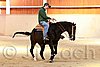QH062_0096n.jpg
