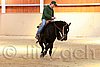 QH062_0097n.jpg