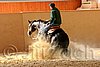 QH062_0100n.jpg
