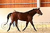 QH062_0104n.jpg